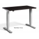 Mini Dual Motor 1000 Wide x 600mm Deep Height Adjustable Desk